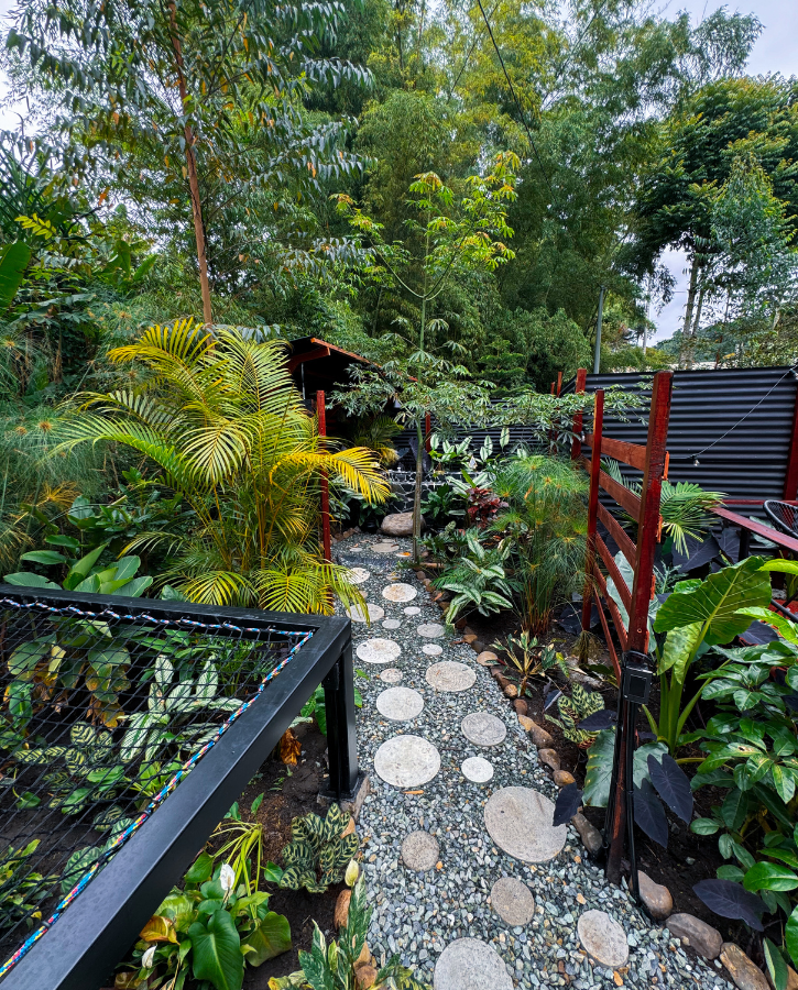 Diseño sin título (91)